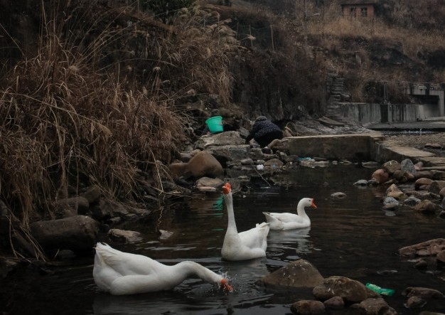 ָԶھ